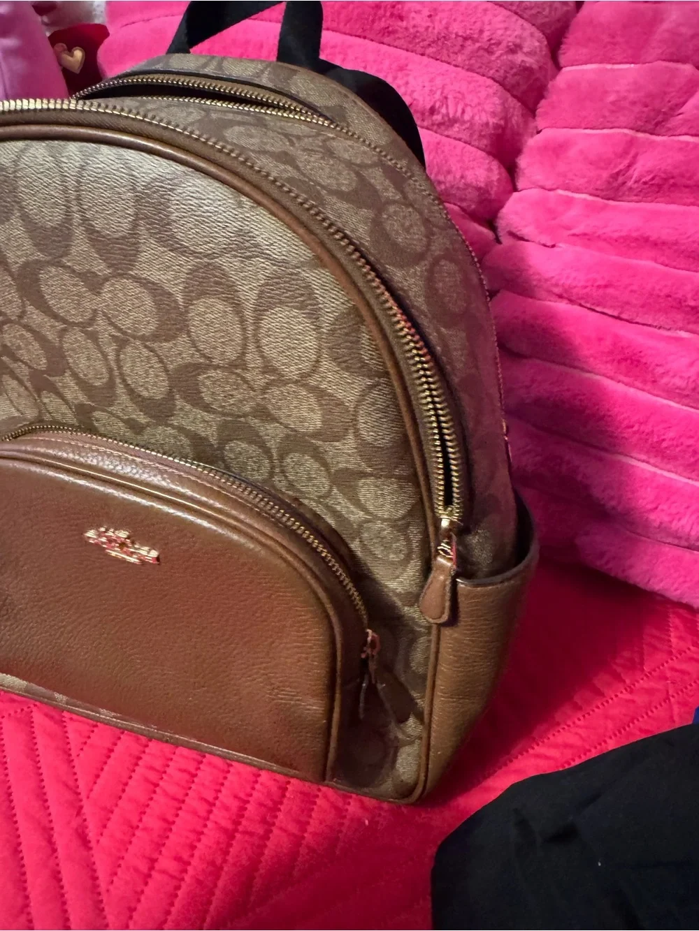 Coach Brown Interior Tote with Leather Patch